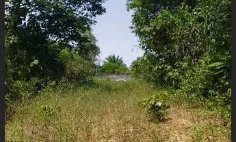 Imagem 5: /Lote em Açutuba com 4 mil m2