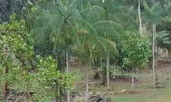 Imagem 6: Fazenda/Sítio/Chácara para venda possui 8799 metros quadrados em Lago Azul - Manaus - AM