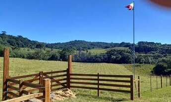 Imagem 5: Área à venda, 20000 m² por R$ 200.000,00 - Zona Rural - Criúva (Caxias do Sul)/RS