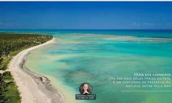 Imagem 4: SAIBA TUDO AGORA EM 1ª MÃO - COSTA DOS COQUEIROS DUE PRAIA DOS CARNEIROS LINDOS APARTAMENT