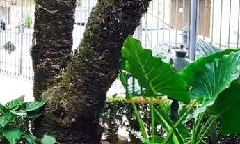 Imagem 4: Casa com 4 dormitórios, 187 m² - venda por R$ 1.300.000,00 ou aluguel por R$ 8.302,17/mês