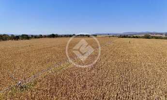 Imagem 5: Mairipotaba - Fazenda de 24 Alqueires codigo: 130578