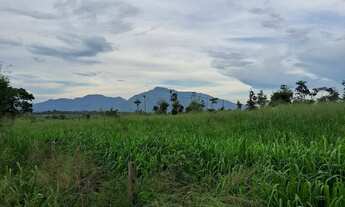 Imagem 3: Fazenda em Campos Novos Iracema