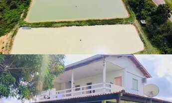 Imagem 4: Venda /Fazenda, Peixe, Alevinos Pres. figueiredo