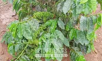 Imagem 7: Imóvel para venda possui metros quadrados em Zona Rural - Lassance - MG