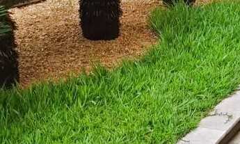 Imagem 5: Cobertura 02 quartos com suíte e 02 vagas rua dos Bororós, Santa Mônica - Belo Horizonte