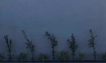 Imagem: Imóvel localizado no bairro paraíso lageado