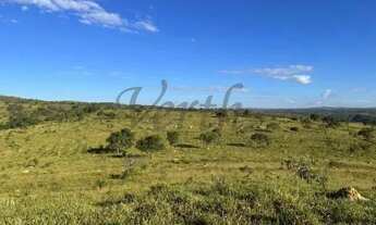 Imagem 6: Fazenda à Venda 1160 hectares em Paracatu - MG