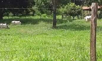 Imagem 4: Area 7 Alqueires(34,8 Hectares)escriturado,Poço Proprio,Terra De Cultura...