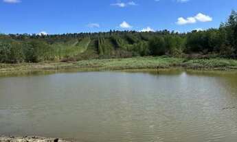Imagem 6: Fazenda 404 hectares Próximo a Salinas/MG