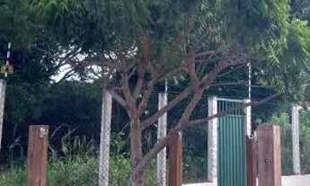 Imagem 4: Aluga-se casa em condomínio parnamirin RN