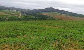 Imagem 5: Imóvel para venda tem 500 metros quadrados em Centro (Caucaia do Alto) - Cotia - SP