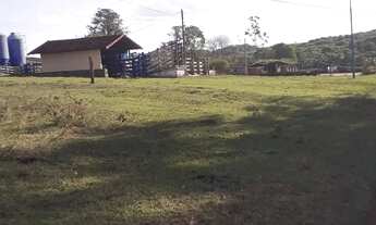 Imagem 7: Sitio em santo antonio da alegria 9.5 alqueires 4.100.000.00