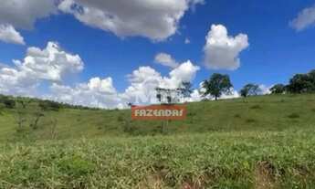 Imagem 7: Fazenda 36 Alqueires (174,24 Hectares) Catalao - GO