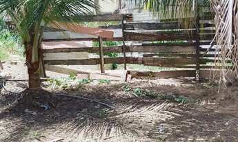 Imagem: Vendo esse terreno no bairro novo Aleixo