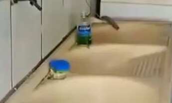 Imagem: Casa jardim Atlântico