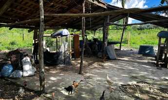 Imagem 6: Chácara 21,78 ha (4,5alqueiro) à Venda ? Divinópolis do Tocantins