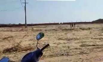 Imagem: Em Barreirinhas quero vender esse meu terreno