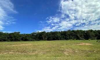Imagem 2: Um dos melhores lotes do Jardins Veneza com mais de 1000m²