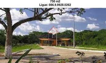 Imagem 3: Terreno em Zona Rural - Teresina