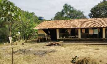 Imagem 5: Chácara 1 alqueire em Aragoiania