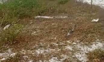 Imagem: Lote brisas do Paracuru