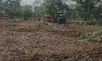 Imagem 4: Fazenda de 126 alqueires (302,4 Hectares) para dupla aptidão