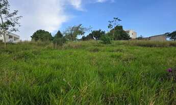 Imagem: Terreno Vale das Palmeiras