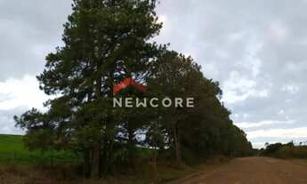 Imagem 4: Sítio em Interior - Interior - Zona Rural - São Francisco de Paula/RS