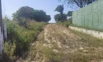 Imagem 2: Verdo um terreno próximo a praia paraquatira