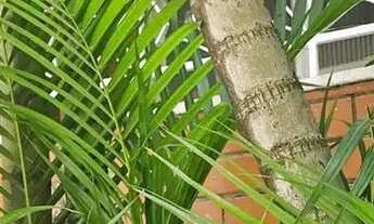 Imagem: Excelente casa com 2 qtos com 63m2 área