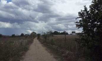 Imagem 6: Terra 20 Trfs com IRRIGAÇÃO Margens da Br 110