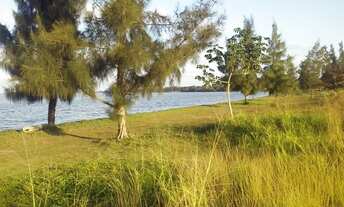 Imagem 7: Casas com um quarto região dos lagos com piscina