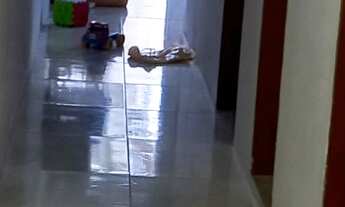 Imagem 2: Casa na Almirante Saldanha. Petrópolis dias D'Ávila-Ba