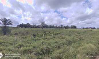 Imagem 7: 150 hectares fazendinha pronta documentada por R$ 2.7 milhões