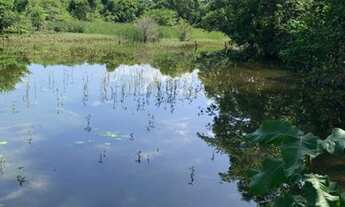 Imagem 2: Fazenda em Almas-TO. 80 alqueires