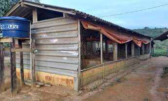 Imagem 6: Vendo chácara de 6.1/2 alqueires a 26km de Parauapebas