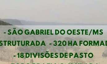 Imagem: Fazenda 518 Hectáres São Gabriel Do Oeste