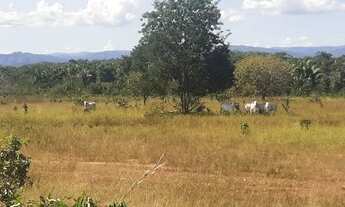 Imagem: Fazenda oportunidade 113 alqueires Campinorte