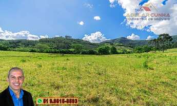 Imagem 6: Sítio à venda em Três Coroas