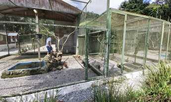 Imagem 6: Sítio na grande Florianópolis -SC