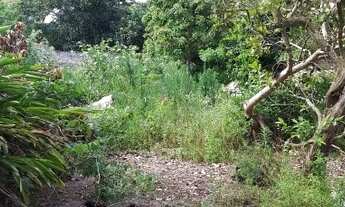 Imagem 6: Terreno todo murado, medindo 360 M², Jardim Morada da Aldeia