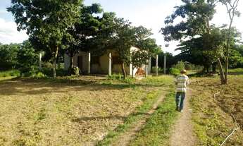 Imagem: Faz.de 61 alqs