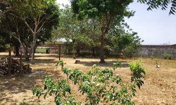 Imagem 3: PAZ E SOSSEGO: Sítio 3.600m² 4 quartos no Eusébio