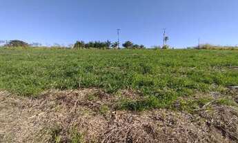 Imagem 6: Vende-se Terrenos a Beira da Represa em Carlópolis Pr