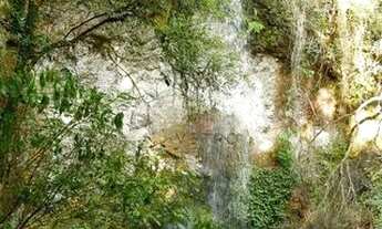 Imagem 4: Sítio na cidade de Canela!