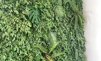 Imagem 7: Lindo Apartamento Semi Novo. Venha Conferir!