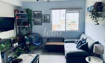 Imagem: São Paulo - Apartamento Padrão - Cambuci