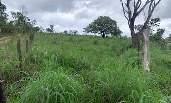 Imagem: Terreno 14ha com luz, nascente de agua