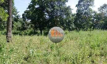 Imagem 2: Fazenda com 2 dormitórios à venda, 321376 m² por R$ 1.000.000,00 - Zona Rural - Pontalina